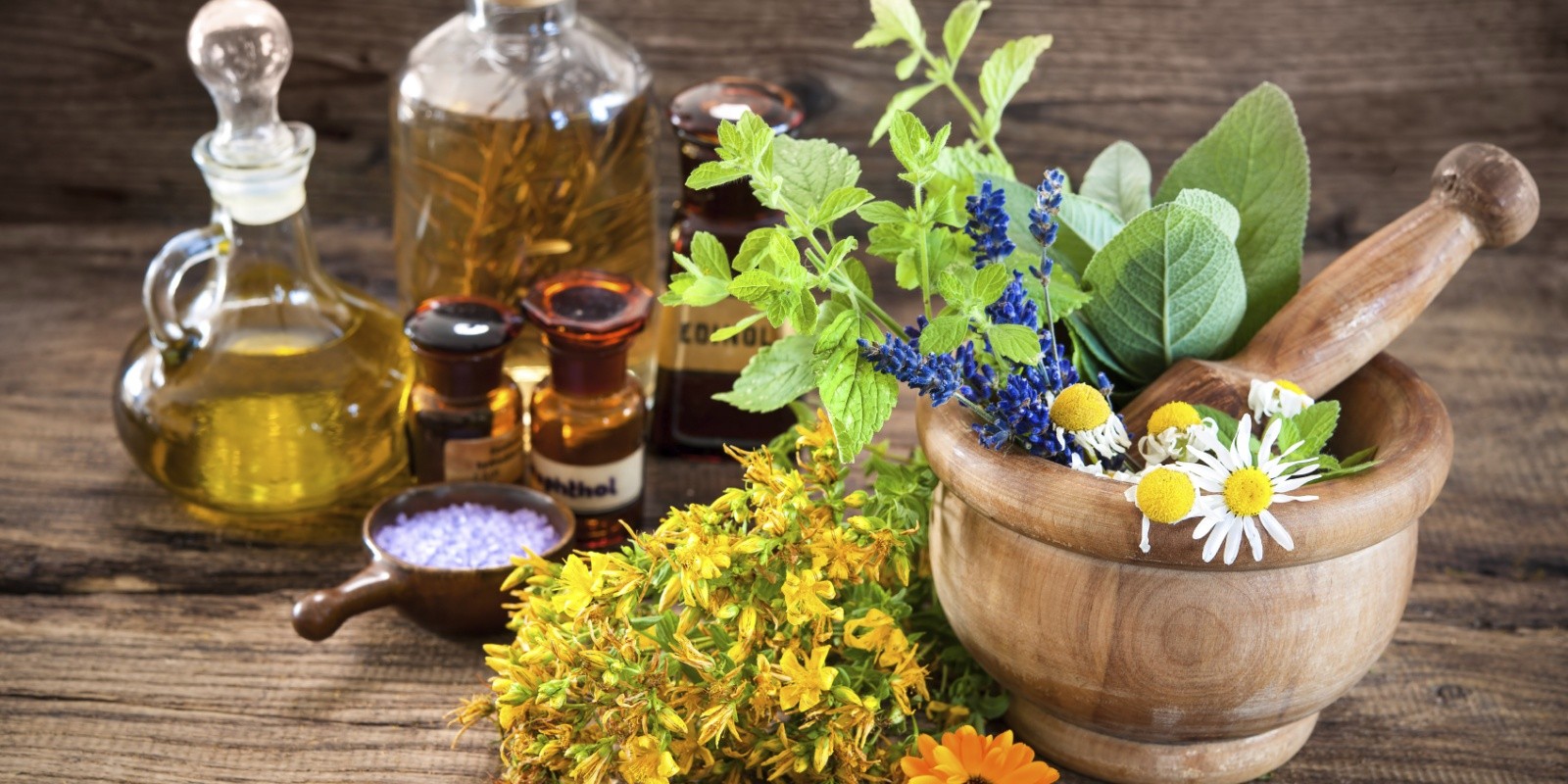 Phytotherapie & Enzymtherapie  praxis mitte Dr. Stefan Friedrich