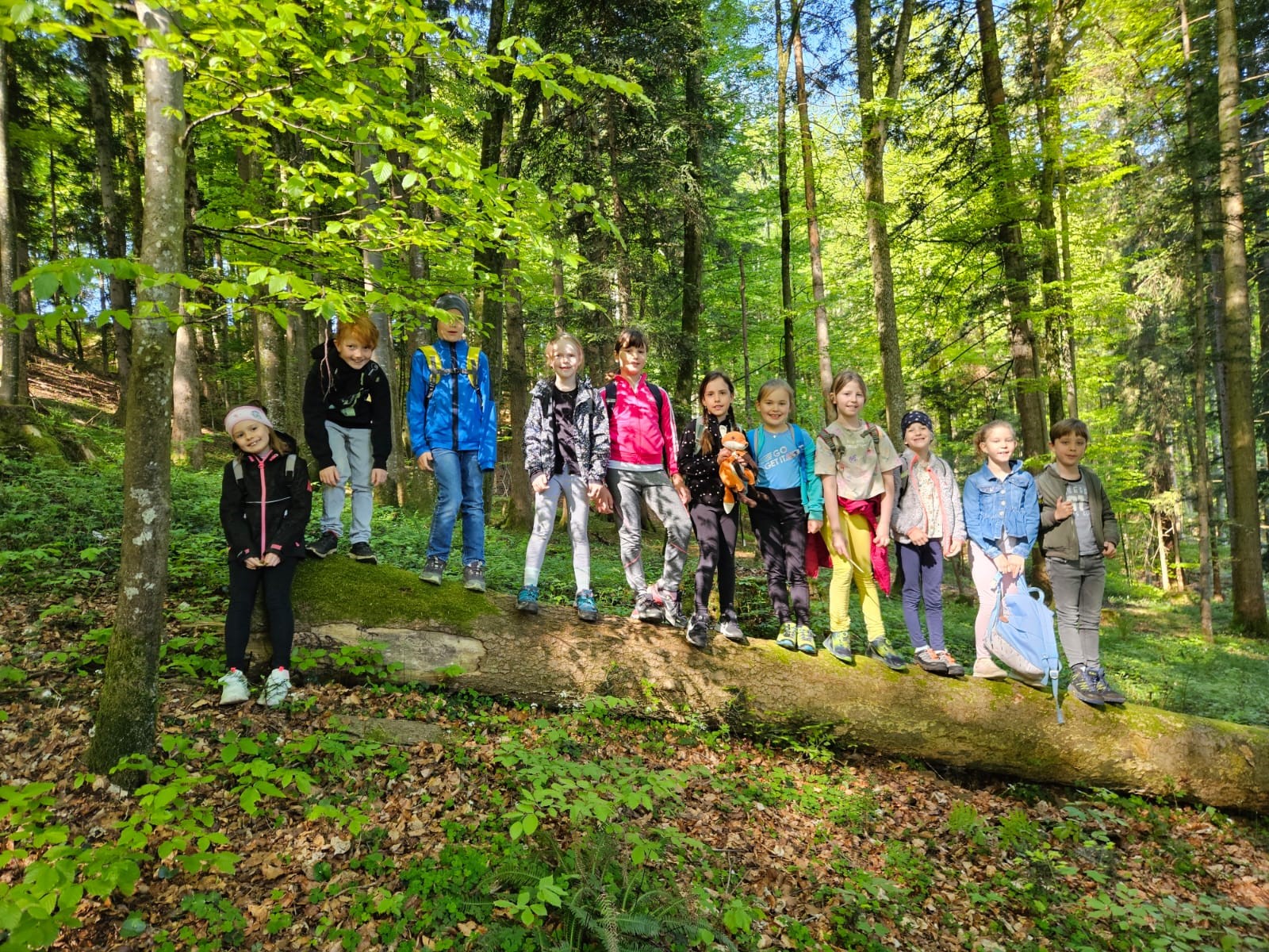 Waldtag der 2. Klasse