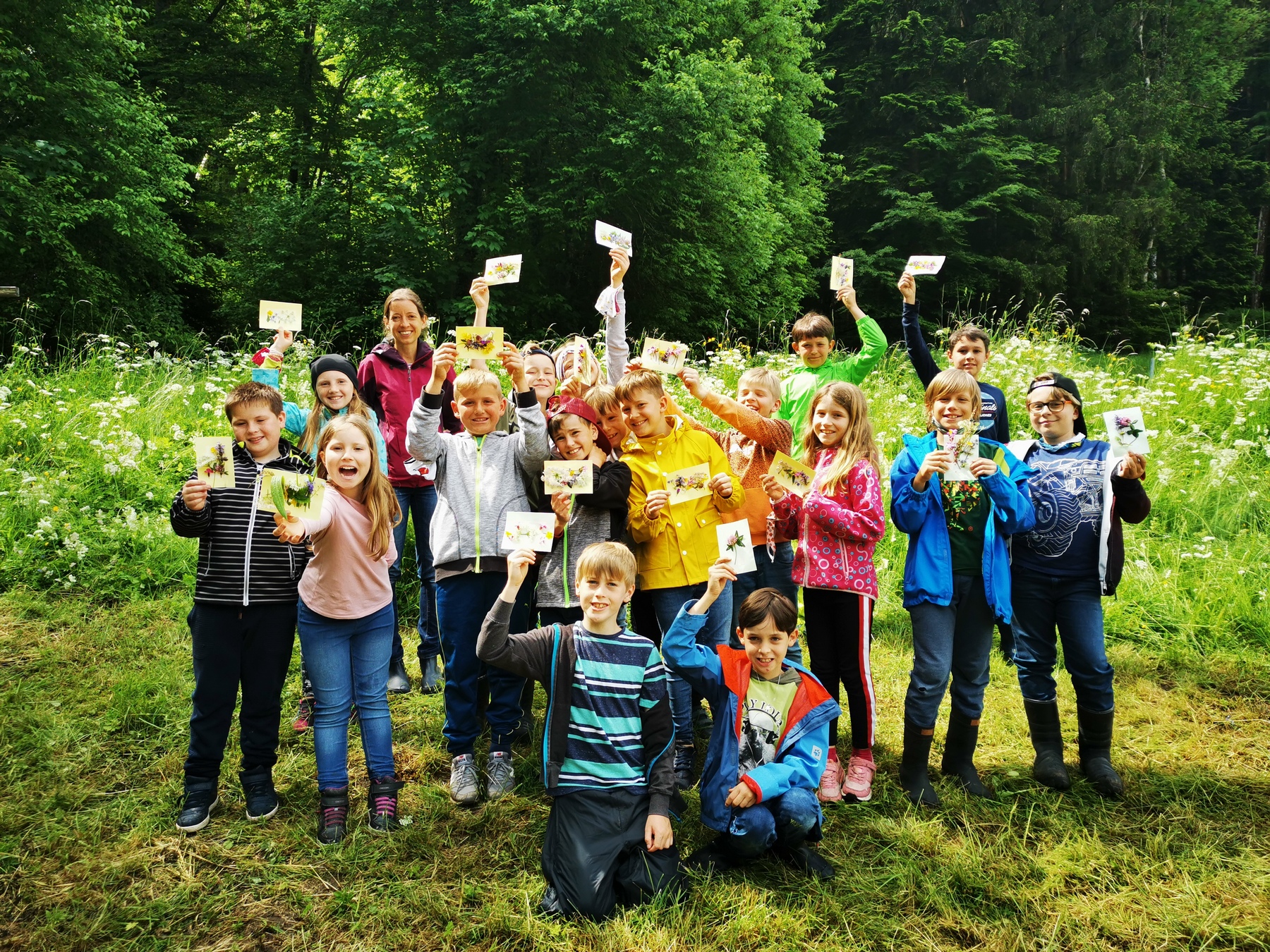 Wiesen-Workshop in der 3. Klasse