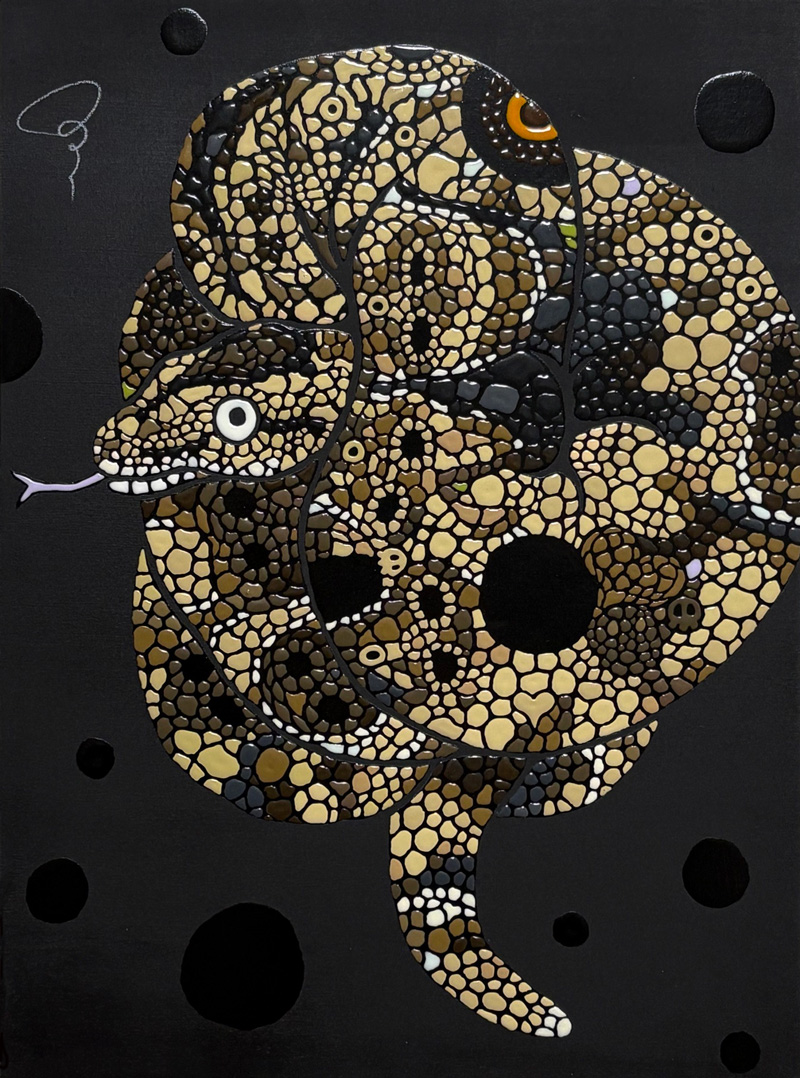 「ボールニシキヘビ」素材　アクリル・他/木製パネル　サイズ　333x242mm 2024