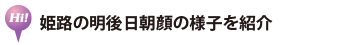 播磨でつながる明後日朝顔の様子を紹介