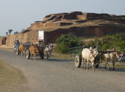 A row of ox-cars slowly moving out of the Gion-Shouja suburb