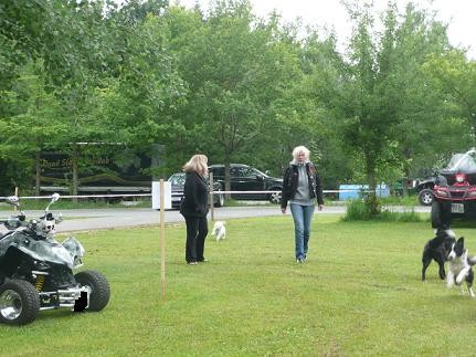 Ela (links) und Christine (rechts) von den Quadkelten kommen vom Gassi gehen