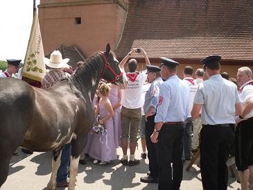 1% pure Horsepower