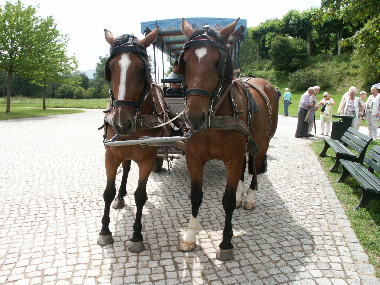 Die Kutschfahrer sind auch schon da