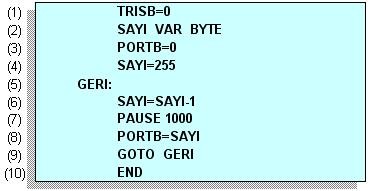 PIC geri sayma programı