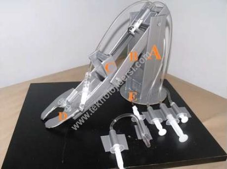 Hidrolik Robot Nasil Yapilir Teknoloji Ve Tasarim Dersi Yapalim Yapalim Net Satilik Robotlar Duzen Kusagi Kurgu Kusagi Yapim Kusagi Proje Icat Bulus Bilim Insanlari Patent