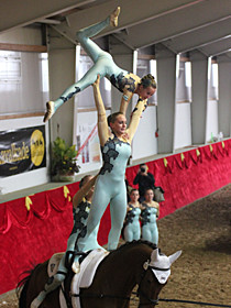 klick ... (c) vaulting-fotos.de