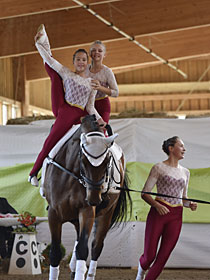 (c) vaulting-photos.de - Zur Galerie...