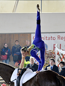 klick ... (c) vaulting-photos.de
