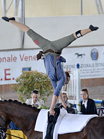 Zur Galerie ... (c) vaulting-photos.de