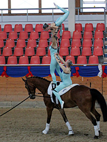 klick ... (c) vaulting-photos.de