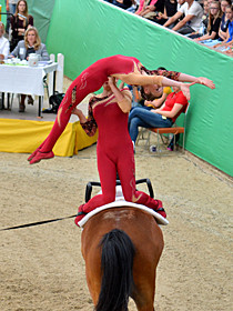 klick ... (c) vaulting-photos.de