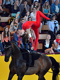 klick ... (c) vaulting-photos.de