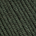 Merino Aran 66 - Vert foncé
