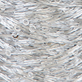Cotton Combinés & Paillettes 55 - Gris clair nacré