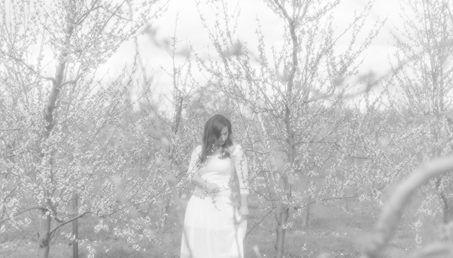 Frühling,-Baumschule-Schröder,-spring,-cherry-blossom,-peaches,-beauty,-fashion,-portraits,-Fotograf-Bremen,-Fotograf-Diepholz,-Obstbäume,-fruittrees,-sabine-Lange,-biene-photoart-1