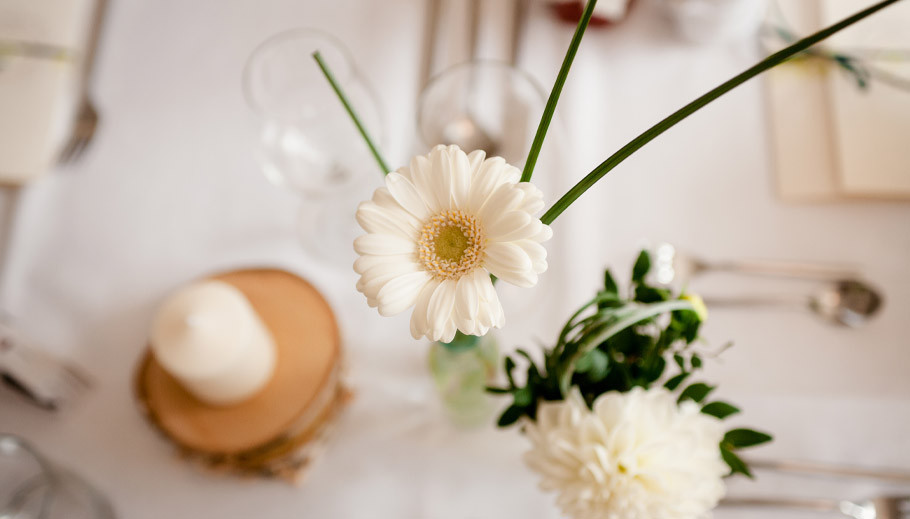 Hochzeit, wedding, Hochzeitsfotograf, weddingphotographer, Fotograf Stuhr, Braut, bride, Hochzeit Hannover, Laatzen, Gebärdensprache, Gehörlos, Taubstumm, Sabine Lange, Biene-Photoart