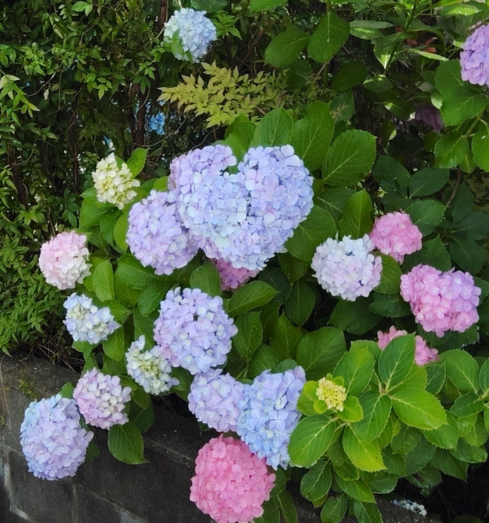 送迎先で♡