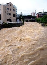写真 西日本新聞 2017/7/7 08:43 板櫃川 大蔵付近