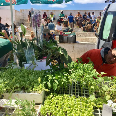 Ibiza samstags kaufen und tauschen in Sant Jordi