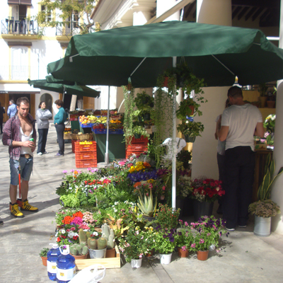 Frische Blumen vom alten Markt in Ibiza