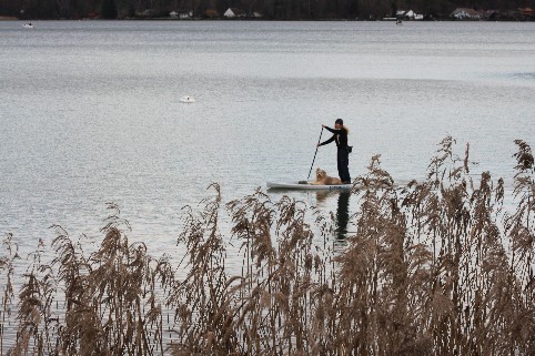 Mit dem Stand Up Paddle Board und Hund entlang der St. Petersinsel am Bielersee