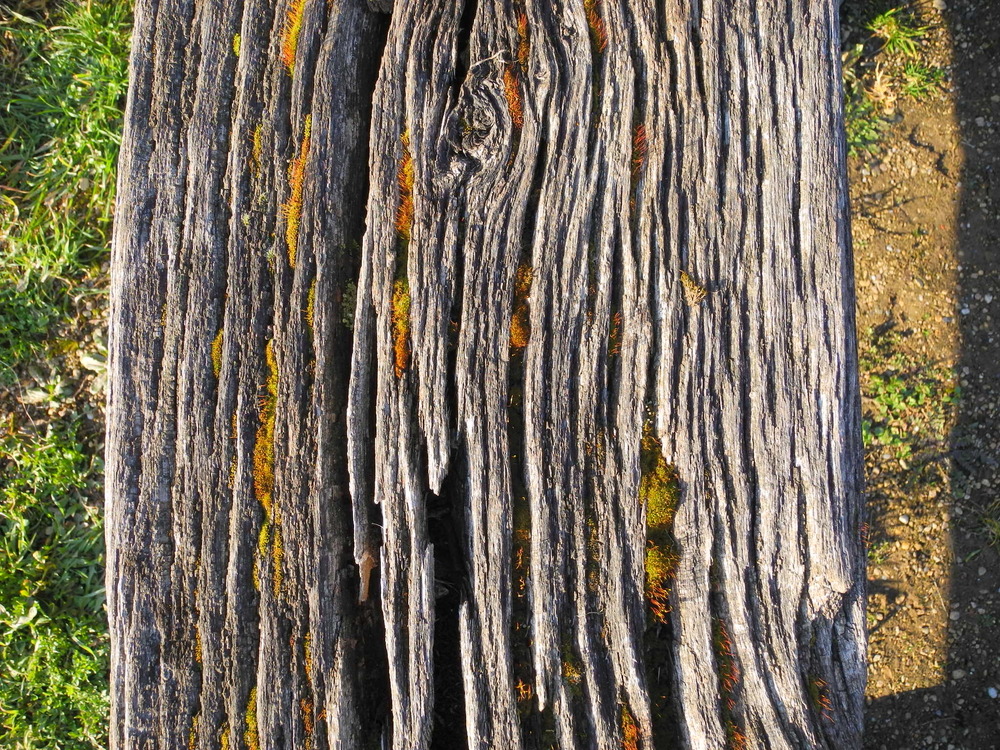 Ihr Trauerredner Daniel Catalano für Trauerfeier und BEerdigung in Würzburg, Bad Kissingen, Kitzingen, Main-Tauber-Kreis, Tauberbischofsheim, Schweinfurt, Main-Spessart, Haßberge, Rhön-Grabfeld, Bamberg