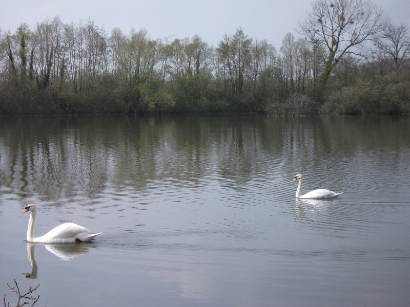 Location de vacance près des marais