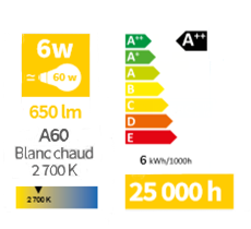 Fiche informative de l'ampoule qui récapitule vos choix