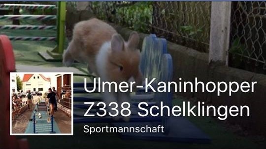 Folgt uns auf Facebook und erfahrt immer gleich alle News.