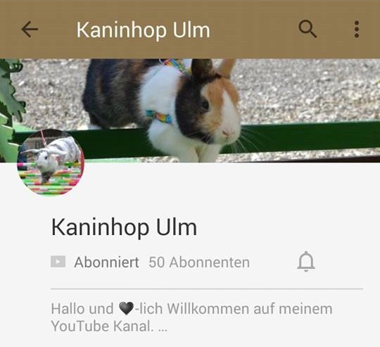 Auf YouTube gibt immer die neusten Videos von uns. Egal ob Turniere, Training oder Vorführung. Einfach auf das Bild klicken ;)