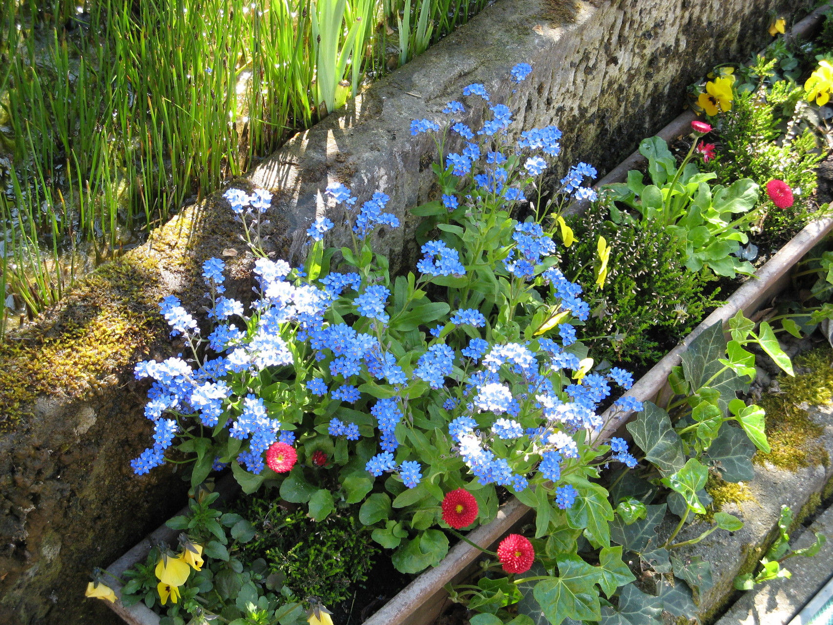 Garten Gästehaus Brückenfelder Hof