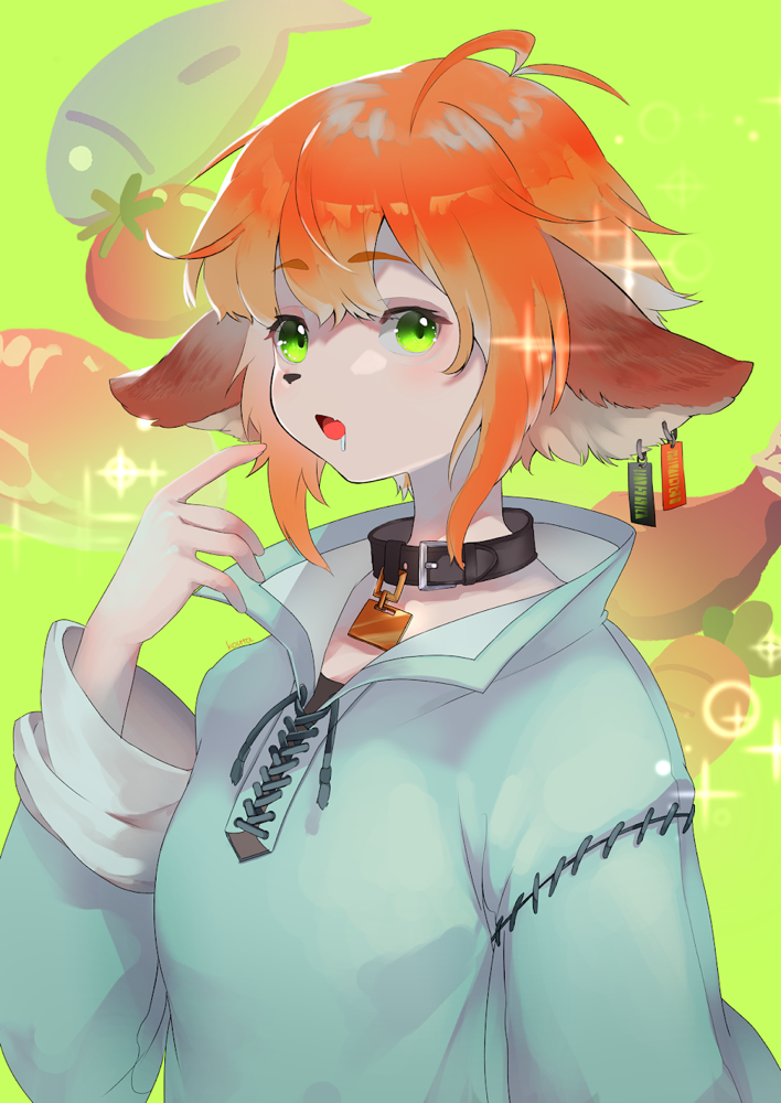 獣人のドニちゃん（オリジナル）