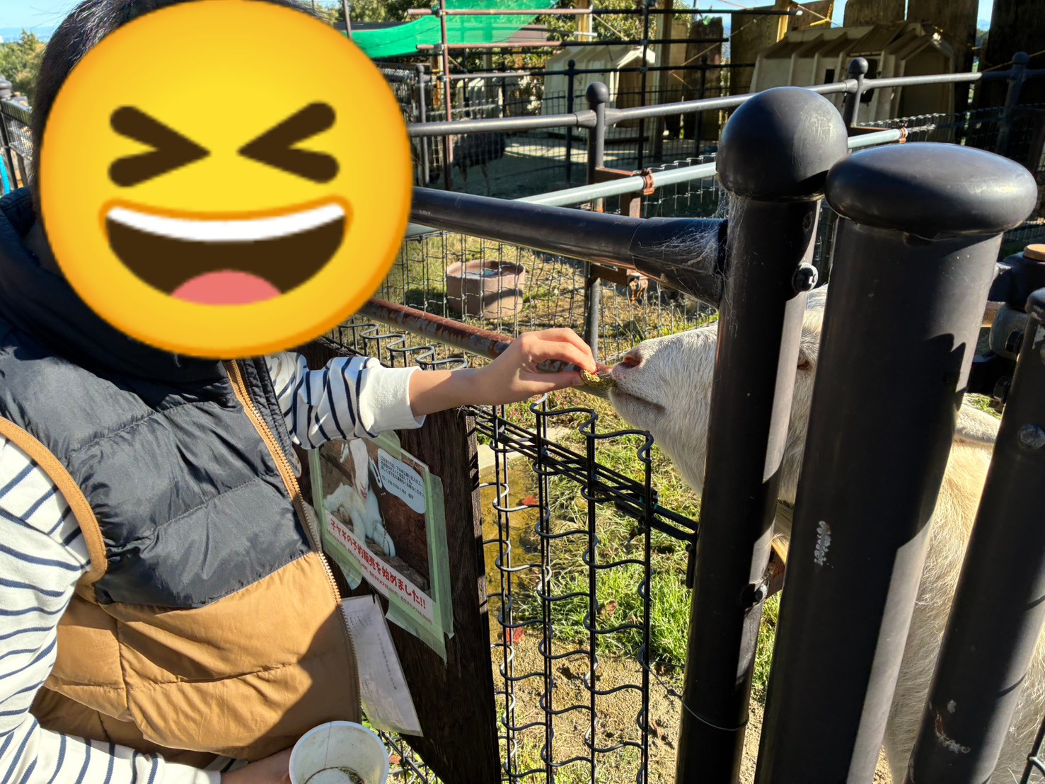 ふれあい牧場に行きました