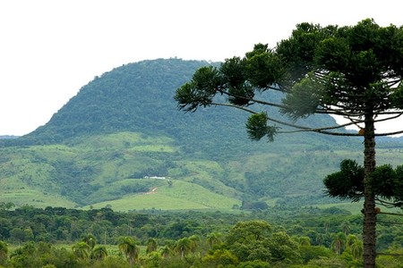 A Serra da Esperança divide o Segundo do Terceiro Planalto Paranaense sendo que, corta a Costa Oeste Iratiense com o município de Inácio Martins.