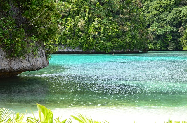   Praia De Palau Golfinho - REPÚBLICA DE PALAU