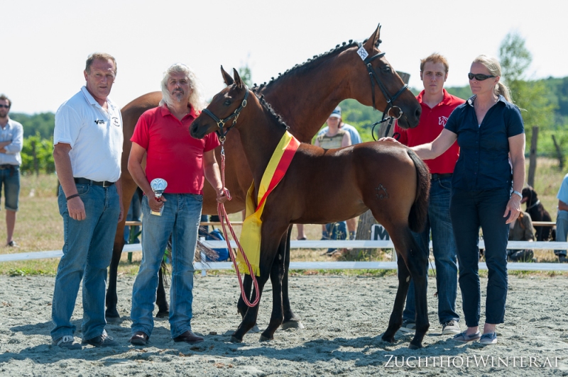 Giulietta - Siegerin Stutfohlen 2013