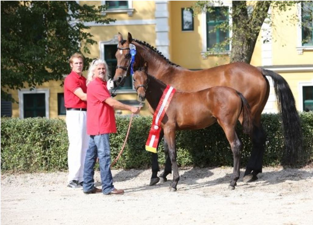 Giulietta - Bundeschampionesse 2013