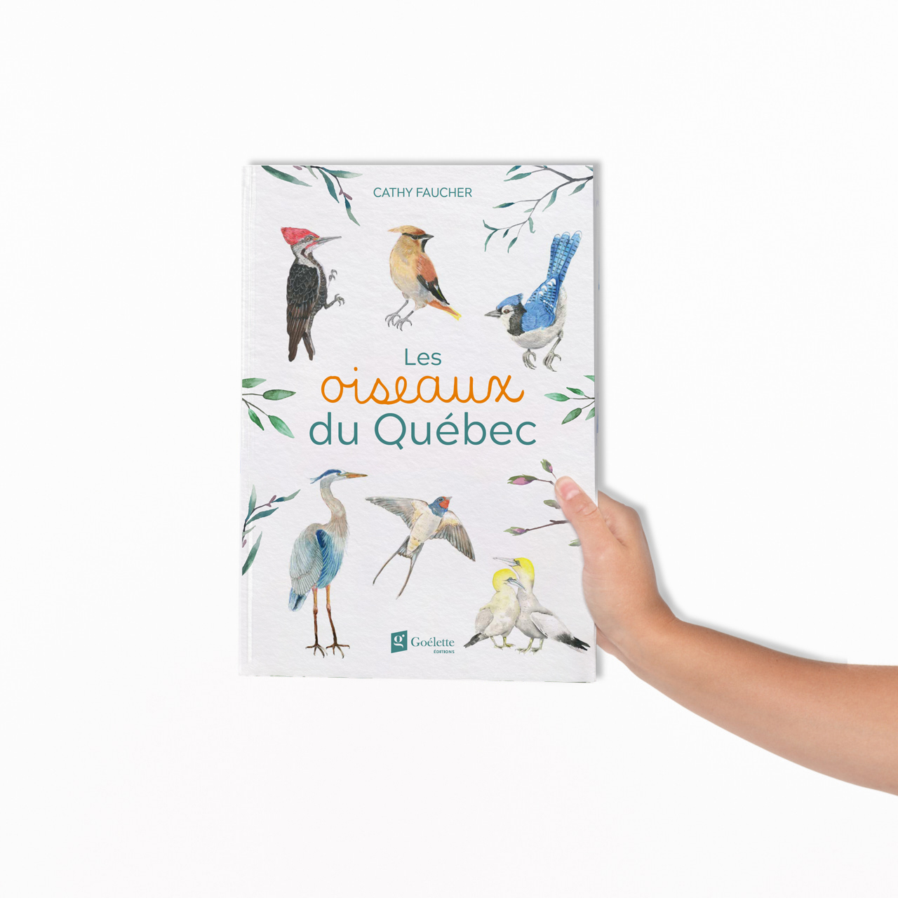 Livre "Les oiseaux du Québec"