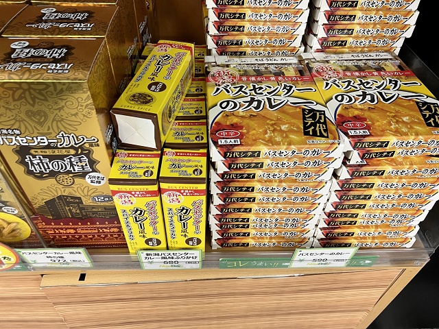 バスセンターのカレー お土産