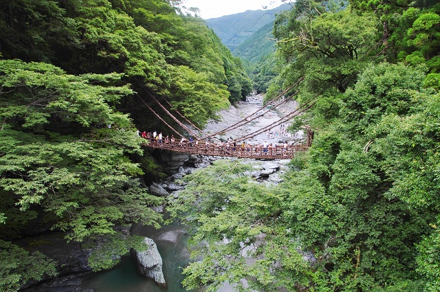 徳島県三好市の観光名所 祖谷のかずら橋