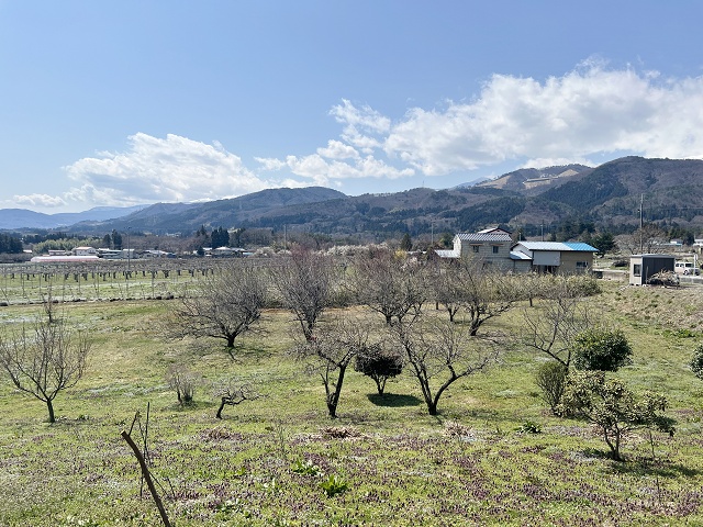 裁ちそば 紅葉亭 福島市