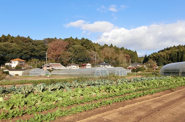 千葉県の面白い地名 引越 山武市
