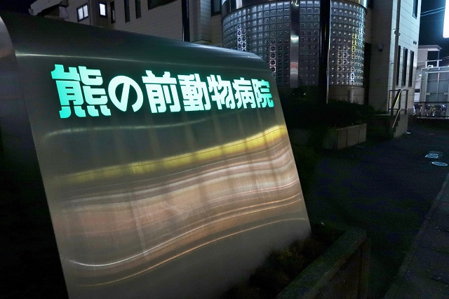 愛知県の面白い地名 熊の前 熊の前動物病院
