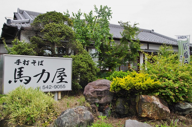 埼玉のご当地うどん 川幅うどん 鴻巣市の馬力屋
