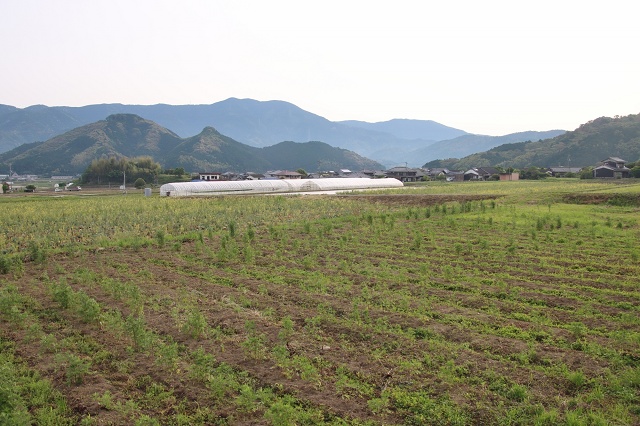 愛媛県の面白い地名 土居仲 どいなか