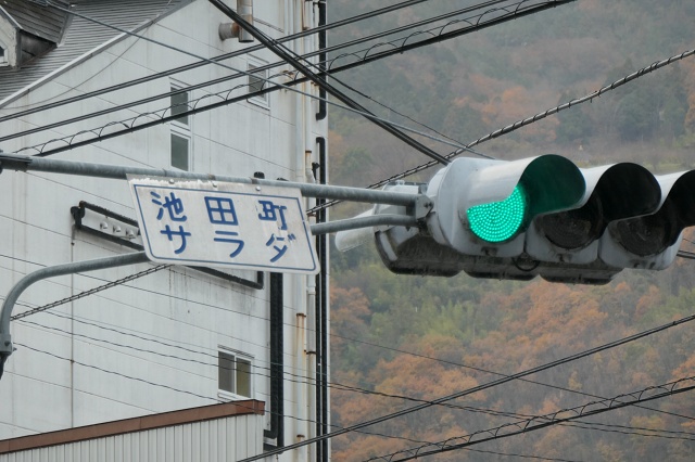徳島県 三好市池田町 サラダ