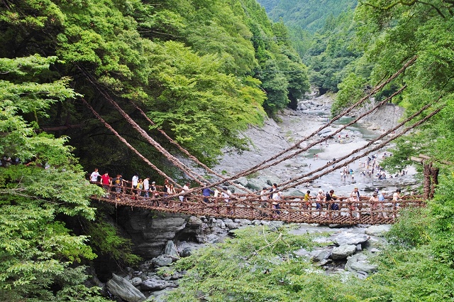 徳島県 祖谷 かずら橋