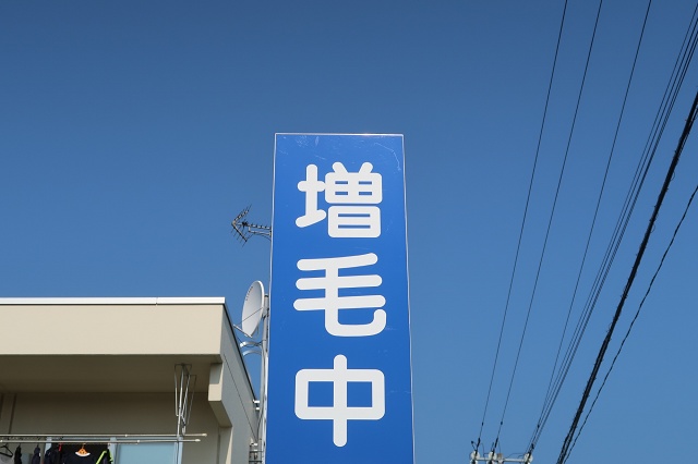 増毛中